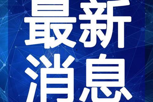 派派最新爆料新闻视频,最新爆料新闻视频深度解析 第3张 派派最新爆料新闻视频,最新爆料新闻视频深度解析 第3张